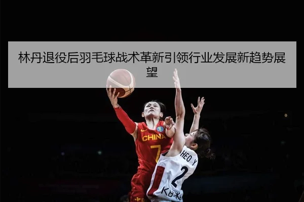 林丹退役后羽毛球战术革新引领行业发展新趋势展望