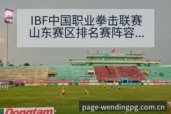 IBF中国职业拳击联赛山东赛区排名赛阵容结构与赛后变化深 - 问鼎PG